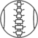 icon-rheumatalogy